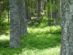 DSC00778.JPG