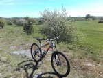 20170525_105120.jpg