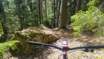 20170525_140842_HDR.jpg