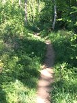 IMG_1668.JPG