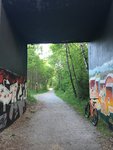 IMG_4786.JPG