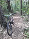 20170603_124654.jpg