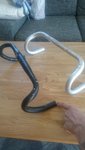 tmp_20306-DSC_00461736794256.JPG
