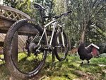 IMG_20170606_111044-01.jpeg