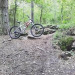 IMG_20170608_200750_560.jpg
