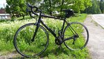 IMG_20170605_165538.jpg
