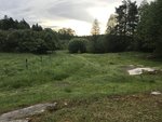 2017-06-16 06.39.26-1.jpg