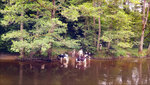 20170628_170327_HDR.jpg