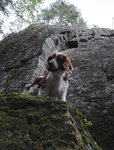 IMG_20170604_150447.jpg