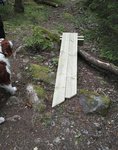 IMG_20170702_164902.jpg