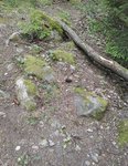 IMG_20170702_164826.jpg