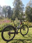 20170720_154204.jpg