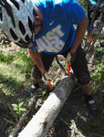 IMG_20170722_120301.jpg
