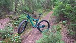 WP_20170721_17_00_21_Pro.jpg