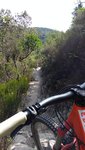 IMG_20170802_103253317.jpg