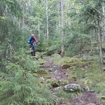 IMG_20170804_190502.jpg