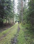 IMG_20170805_185813.jpg