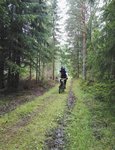 IMG_20170805_185608.jpg
