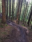 IMG_0572.jpg