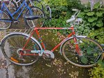 IMG_20170807_172219.jpg