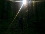 IMG_3682.JPG