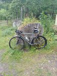 IMG_20170816_143206.jpg