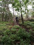 IMG_20170826_133534.jpg