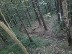 20170903_195402.jpg