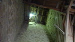 DSC01221.JPG