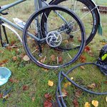 IMG_20170914_063254_960.jpg