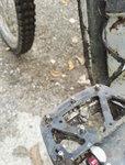 IMG_20170916_140129.jpg