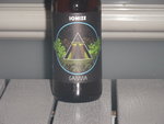 Gamma Brewing Ionize.JPG