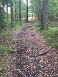 IMG_1069.JPG