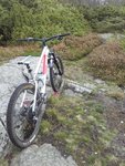 20171003_125642.jpg