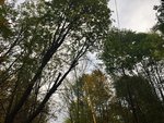 IMG_3932.JPG