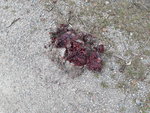 20170930_134358.jpg