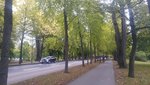 20171010_155948_HDR.jpg