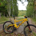 IMG_20170911_114909_402.jpg