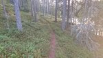 DSC_0593.JPG
