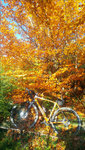 20171016_160136_HDR.jpg