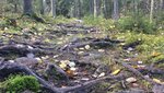 46C39321-795F-4150-89A6-D502813530E9.jpeg
