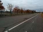 IMG_20171024_075915.jpg