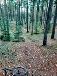 IMG_20171026_194634.jpg