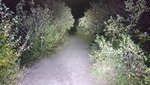 DSC_0176.JPG