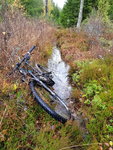 20171028_135655.jpg