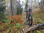 20171014_124136.jpg