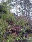 IMG_20171105_172714.jpg