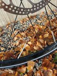 20171125_105346.jpg