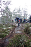 DSC02273.jpg
