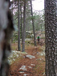 DSC02322.jpg